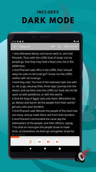 Hausa Audio Bible on Android